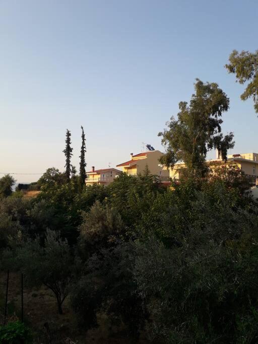 George Geust House Appartement Oropos